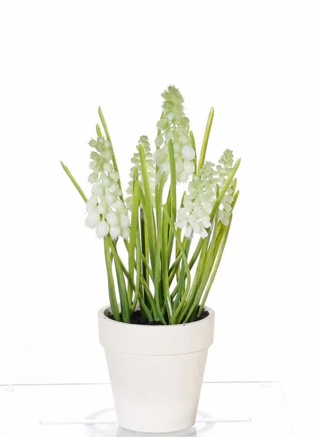 Hyacinth | Fake Grape Hyacinth Arabella In A Decorative Pot, Cream, 10"/25Cm, Ø0.8"-1.2"/2-3Cm Artificial Flowers Hyacinth