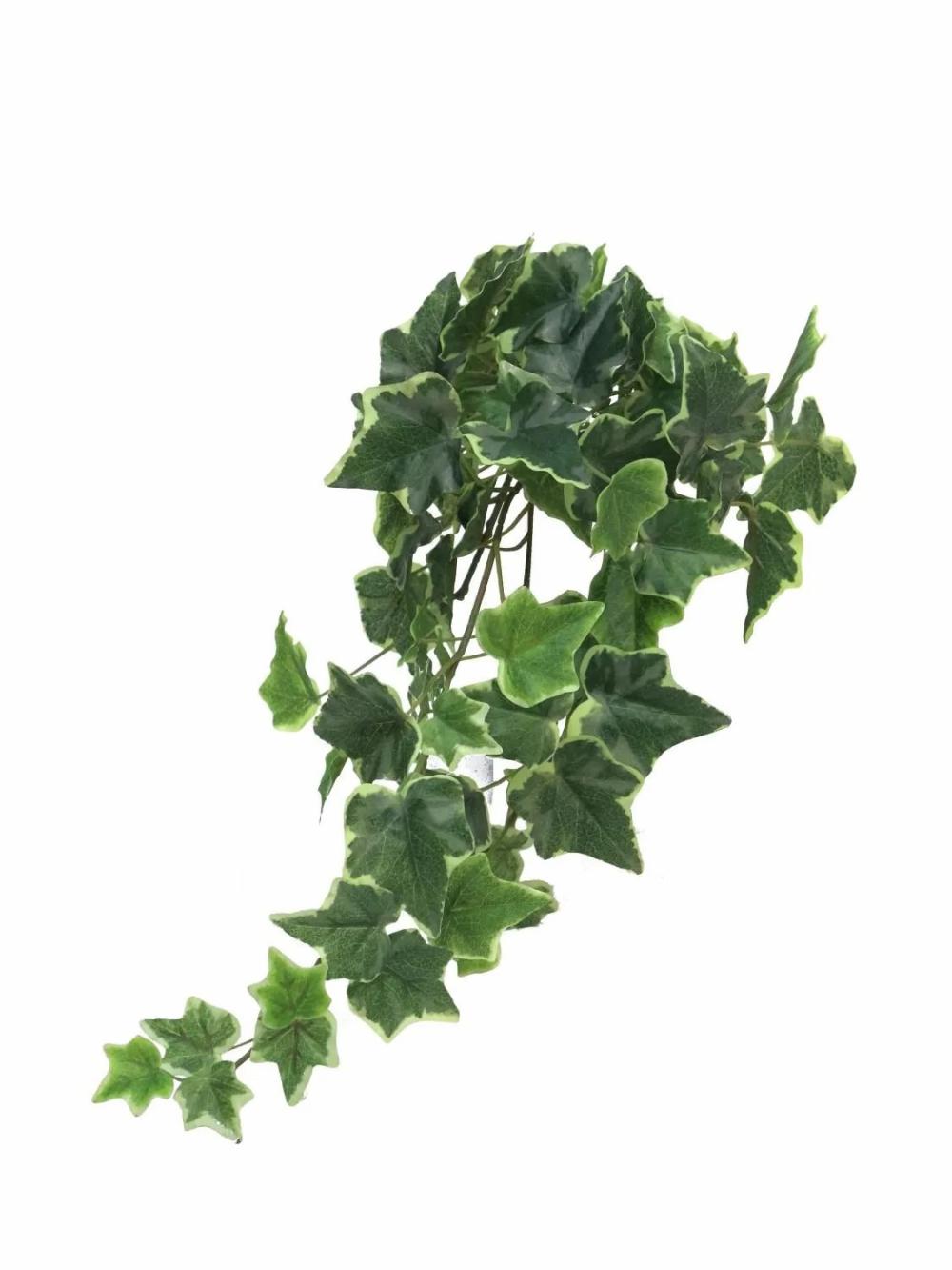 Ivy | Artificial Hanging Ivy Lanshuo On Spike, Green-White, 18"/45Cm Artificial Plants Green