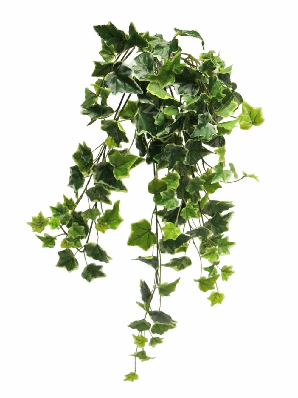 Ivy | Artificial Hanging Ivy Lanshuo On Spike, Green-White, 28"/70Cm Artificial Plants Green