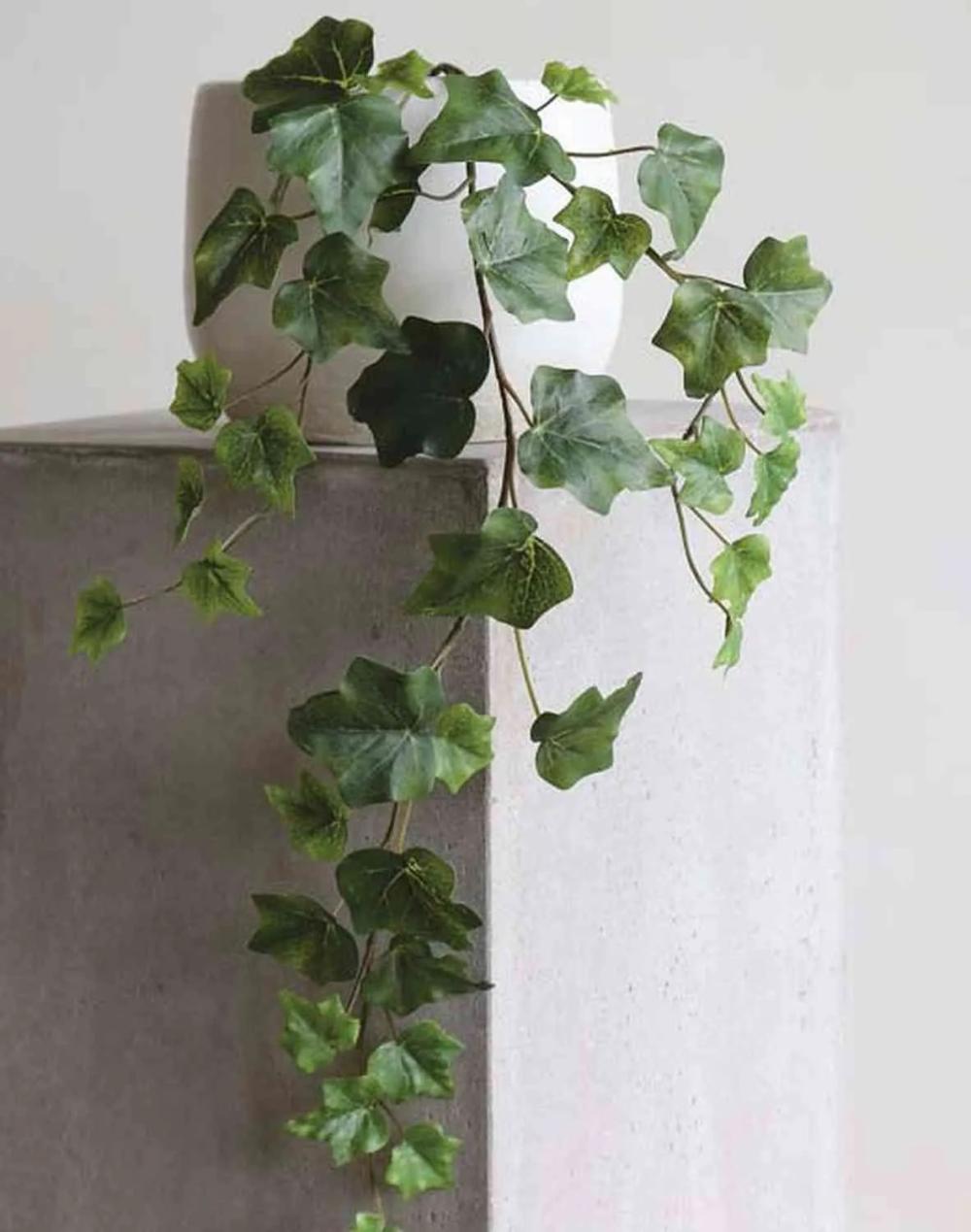 Ivy | Artificial Ivy Branch Dexter, Green, 26"/65Cm Artificial Plants Green