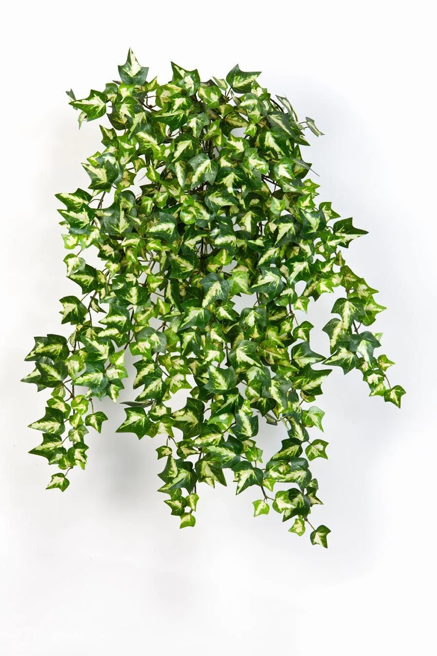 Ivy | Artificial Ivy Hanging Plant Jonathan, Spike, Green-Yellow, 20"/50Cm Artificial Plants Ivy