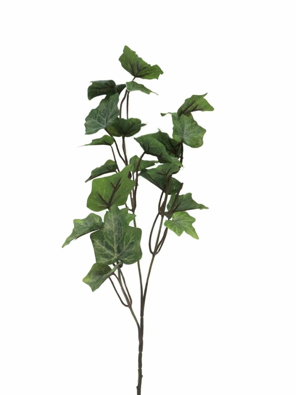 Ivy | Decorative Ivy Branch Lanshuo, Green, 22"/55Cm Artificial Plants Green