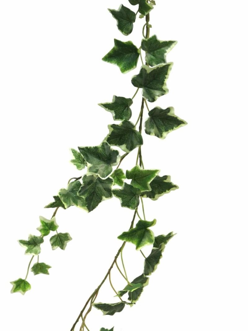 Ivy | Decorative Ivy Garland Lanshuo, Green-White, 6Ft/180Cm Artificial Plants Green