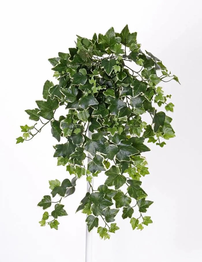 Ivy | Fake Hanging Ivy Till On Spike, Crossdoor, Green-White, 26"/65Cm Artificial Plants Green