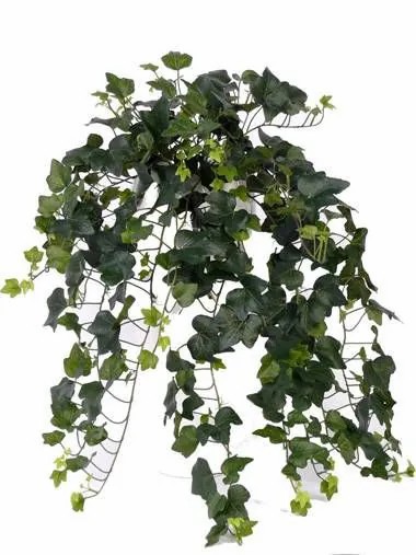 Ivy | Fake Ivy Hanging Plant Till, Spike, Crossdoor, Green, 30"/75Cm Artificial Plants Green