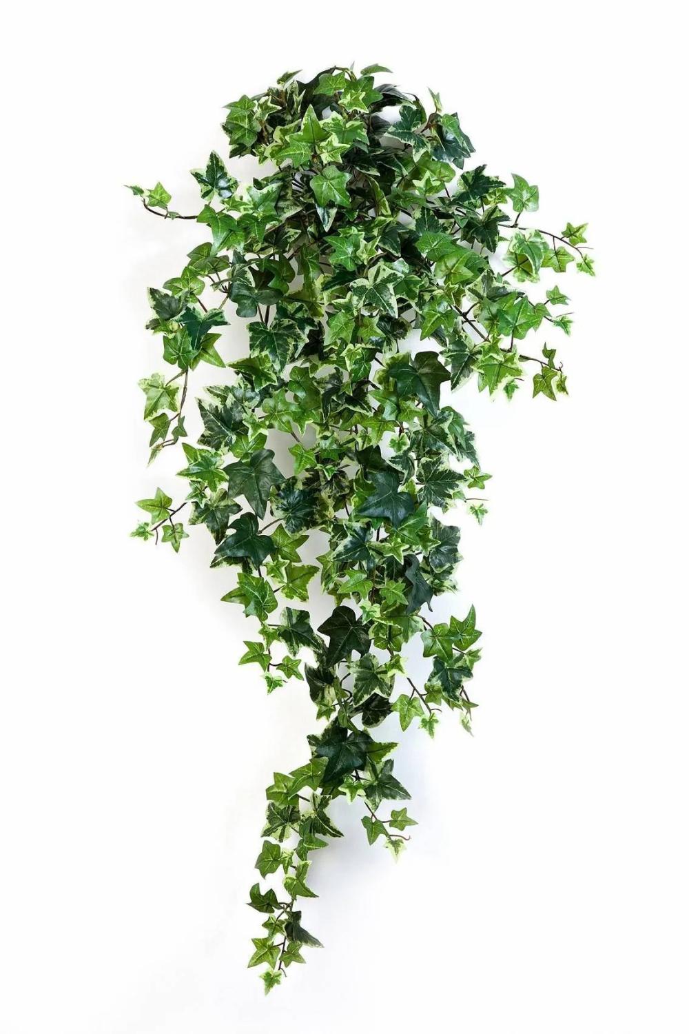 Ivy | Silk Ivy Hanging Plant Luka, On Spike, Green-White, 3Ft/90Cm Artificial Plants Ivy