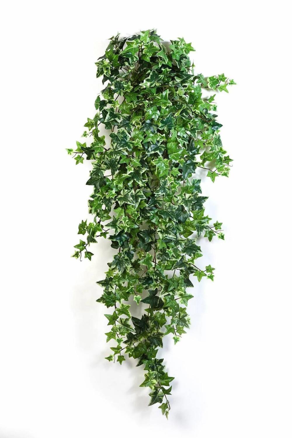 Ivy | Silk Ivy Hanging Plant Luka, On Spike, Green-White, 4Ft/110Cm Artificial Plants Ivy