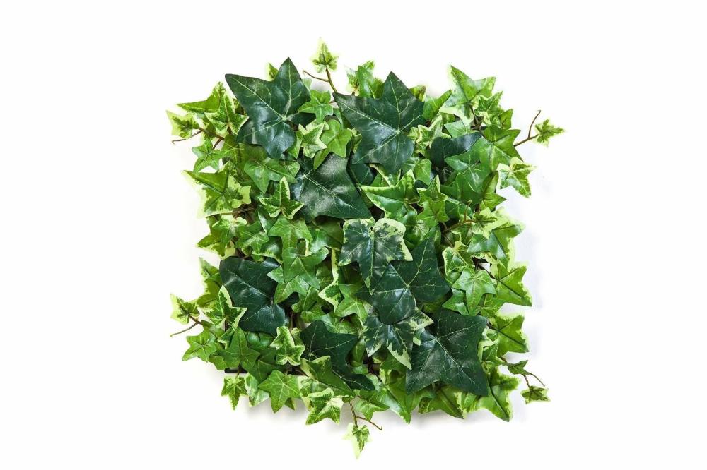 Ivy | Silk Ivy Hedge Luka, Green-White, 12"X12"/30X30Cm Artificial Plants Ivy