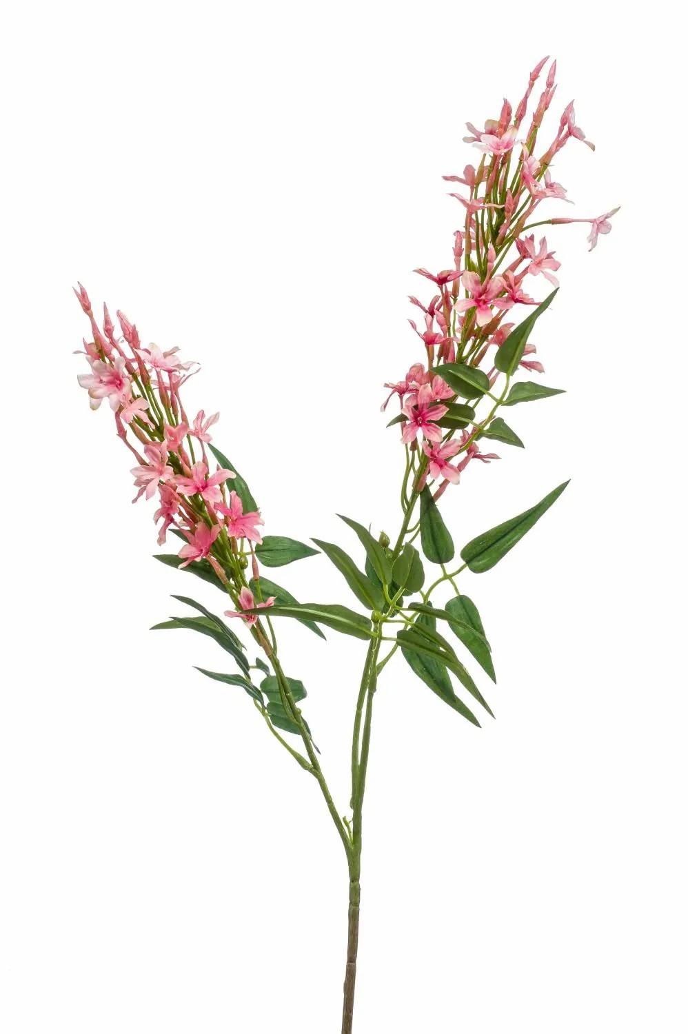 Jasmine plants | Artificial Jasmine Spay Cave, Pink-Fuchsia, 31"/80 Cm Artificial Flowers Jasmine plants