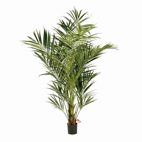 Kentia palm | Fake Kentia Palm Miya, 7Ft/225Cm Artificial Palms Green