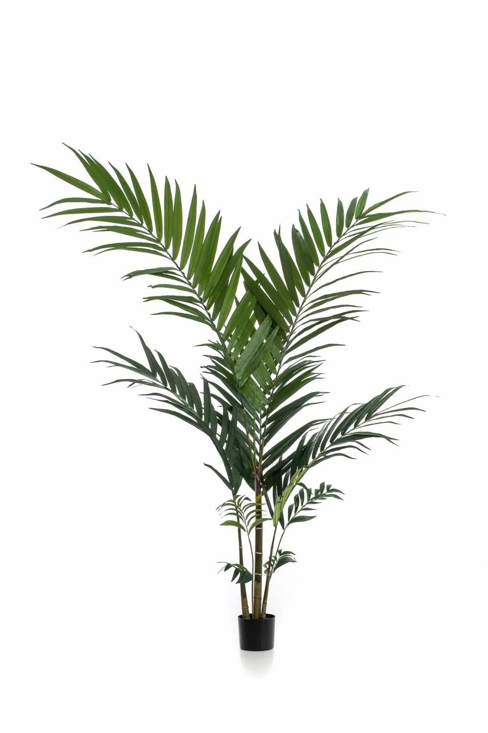 Kentia palm | Fake Kentia Palm Nesta, 5Ft/150Cm Artificial Palms Green