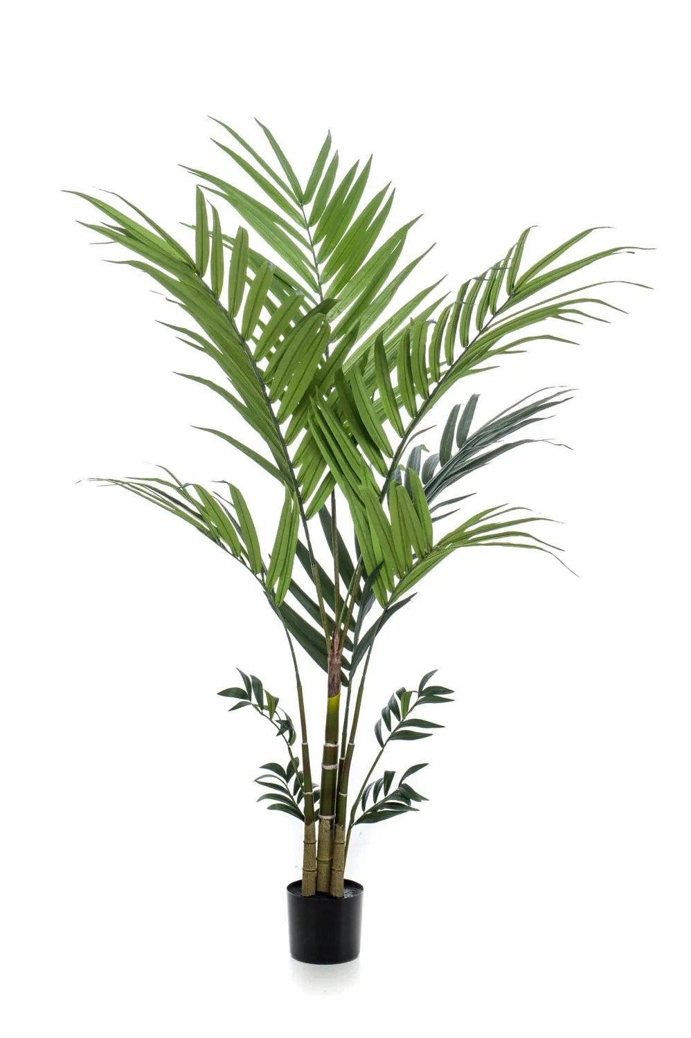 Kentia palm | Fake Kentia Palm Nesta, 6Ft/180Cm Artificial Palms Green