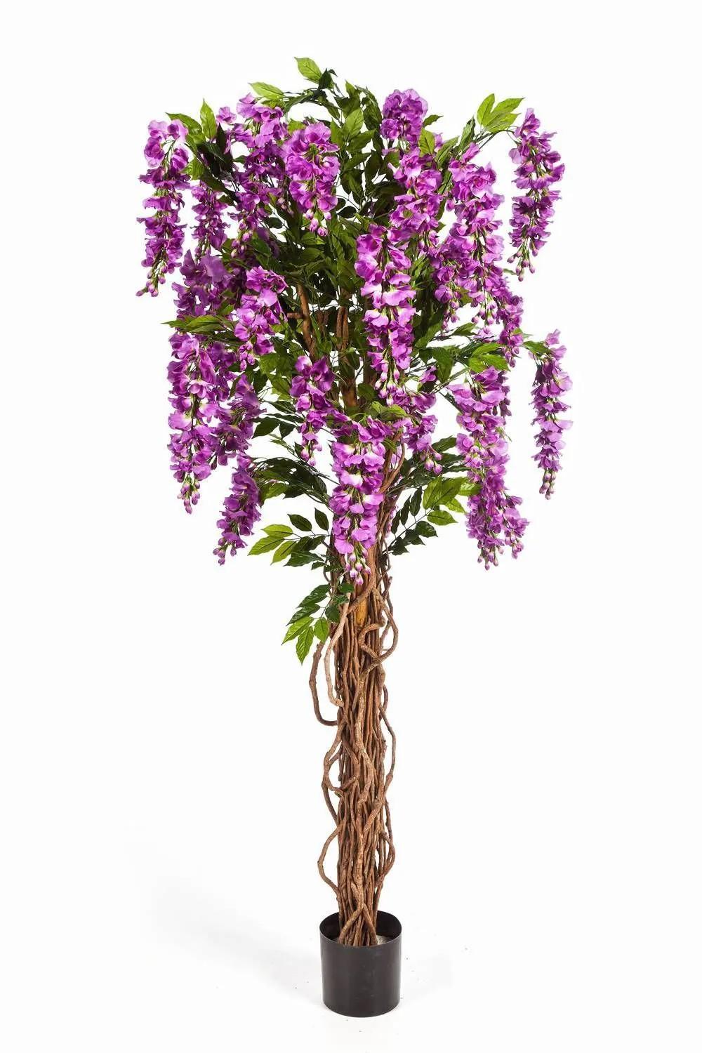 Laburnum | Artificial Wisteria Ariana, Real Stems, Blooms, Purple, 6Ft/180Cm Artificial Trees Laburnum