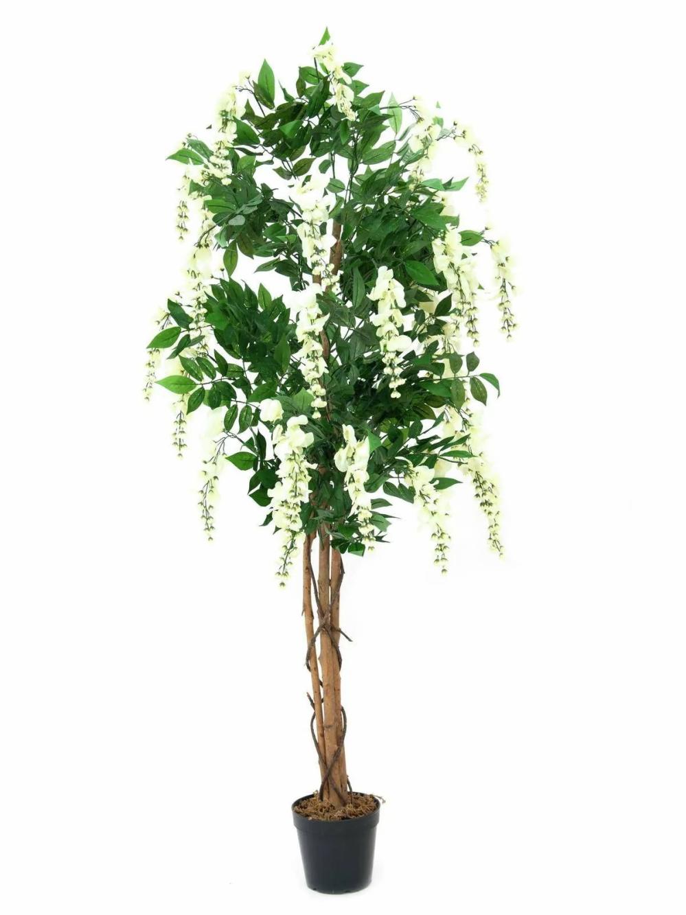 Laburnum | Artificial Wisteria Leslie, Real Stems, Blooms, White, 5Ft/150Cm Artificial Trees Laburnum