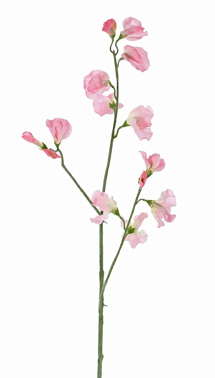 Lathyrus | Artificial Flower Lathyrus Asfaloth, Light Pink, 26"/65Cm Artificial Flowers Lathyrus