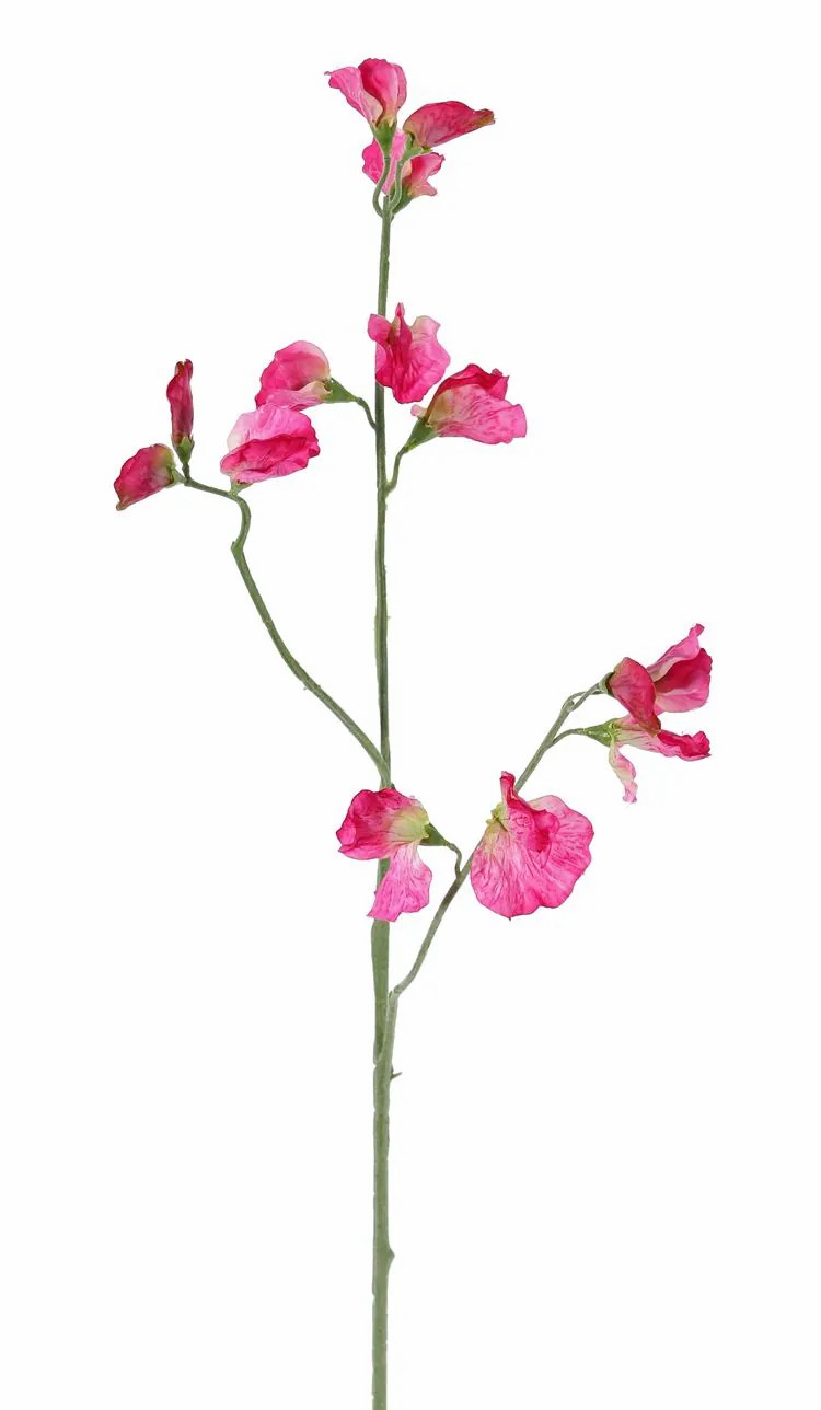 Lathyrus | Artificial Flower Lathyrus Asfaloth, Pink, 26"/65Cm Artificial Flowers Lathyrus