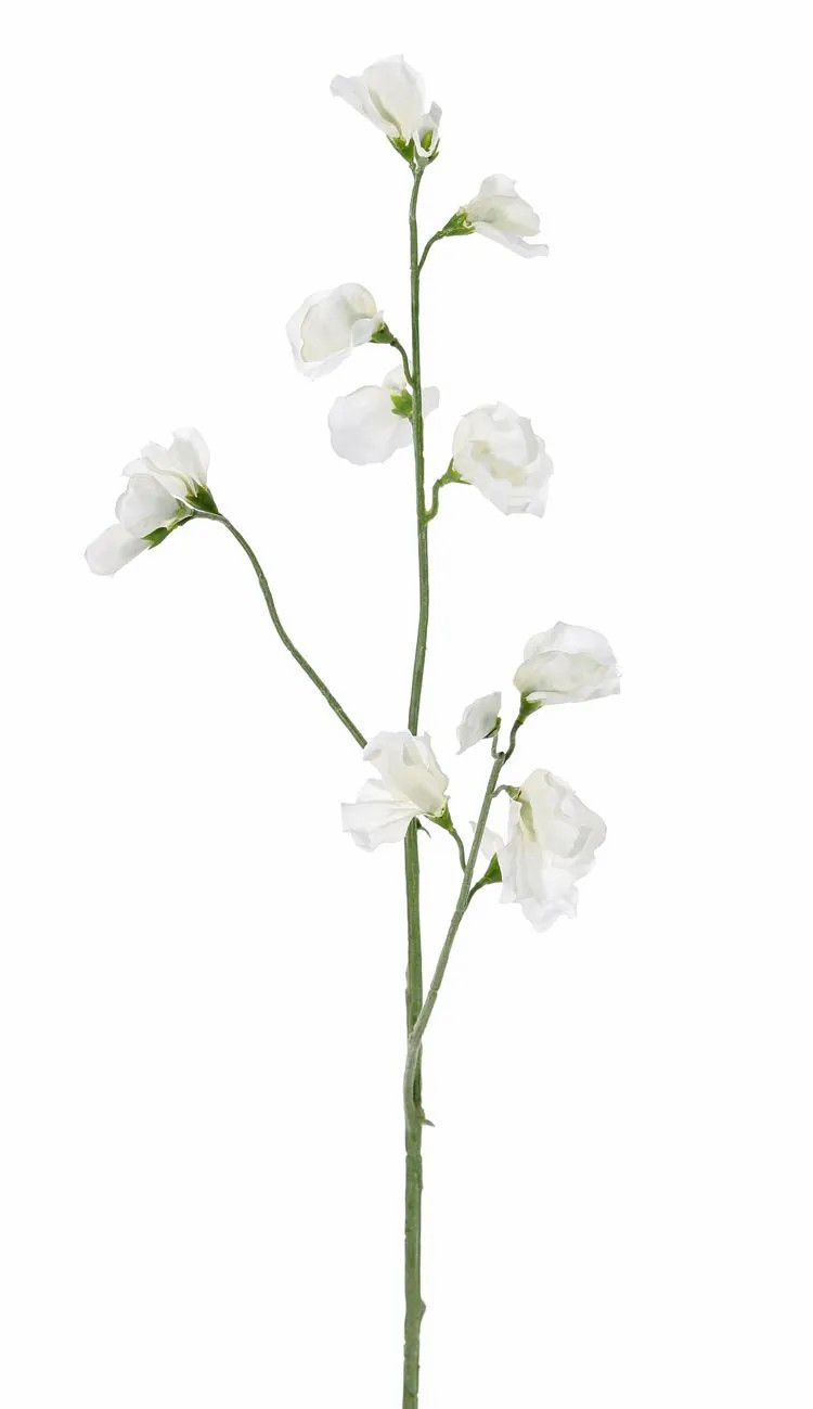 Lathyrus | Artificial Flower Lathyrus Asfaloth, White, 26"/65Cm Artificial Flowers Lathyrus