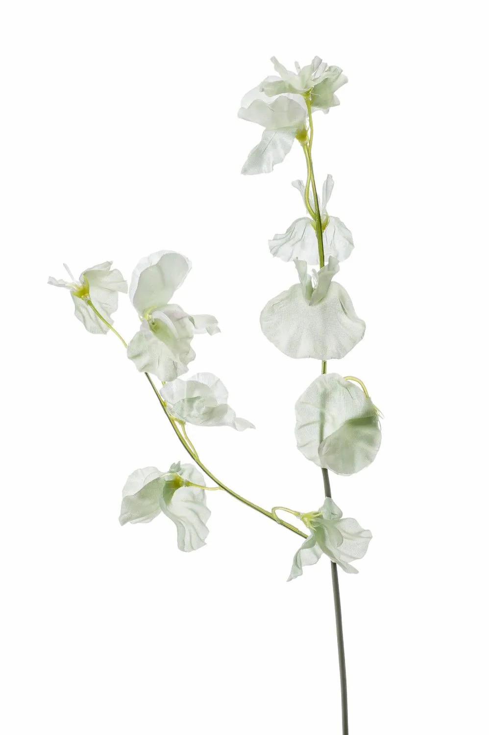 Lathyrus | Artificial Flower Lathyrus Vicenzo, Green-White, 20"/50Cm Artificial Flowers Green