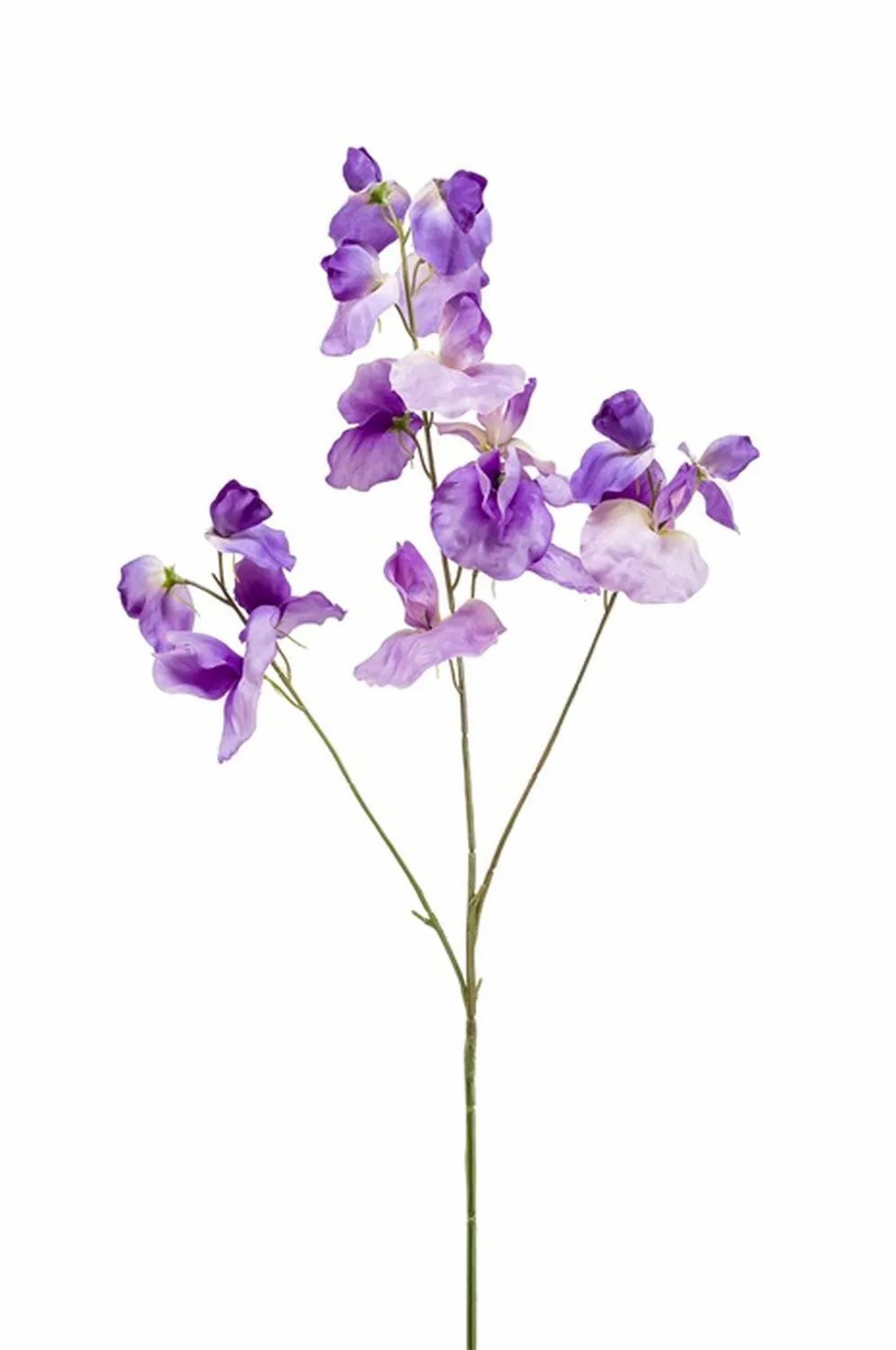 Lathyrus | Artificial Sweet Pea Kanzi, Purple, 30"/75 Cm Artificial Flowers Lathyrus