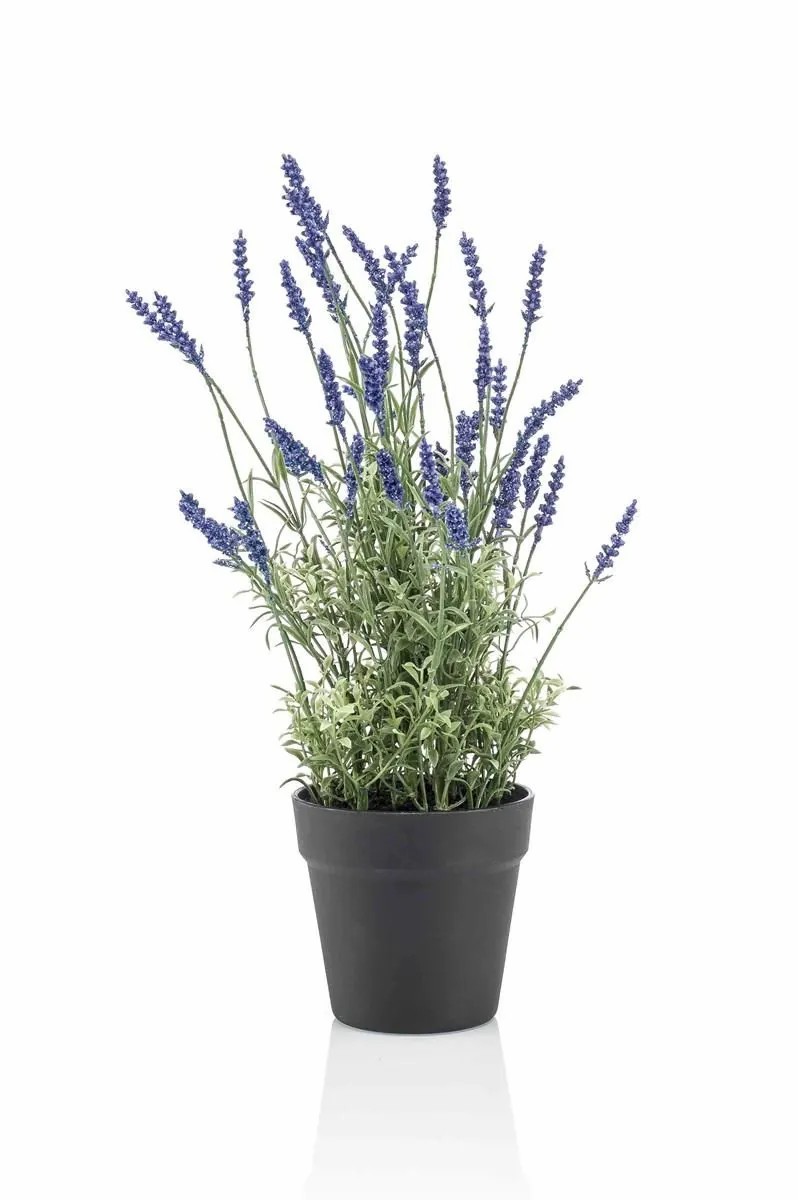 Lavender | Artificial Plant Lavender Napur In Decorative Pot, Violet, 50Cm Artificial Flowers Lavender