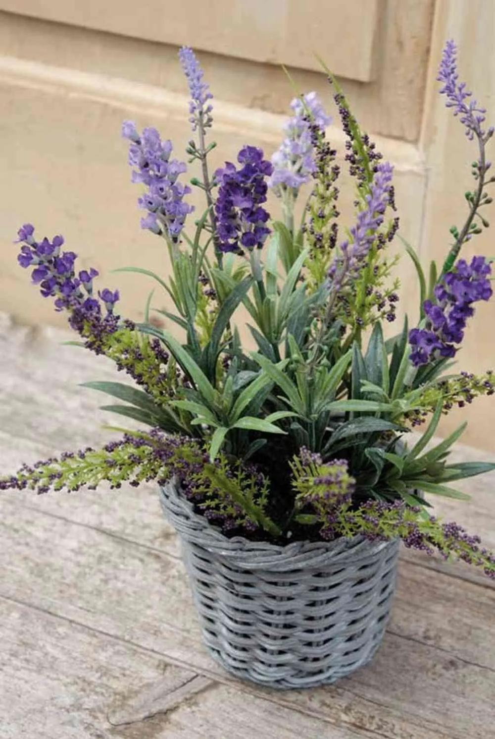 Lavender | Silk Lavender Kirsa In Wicker Basket, Violet, 12"/30Cm Artificial Flowers Lavender