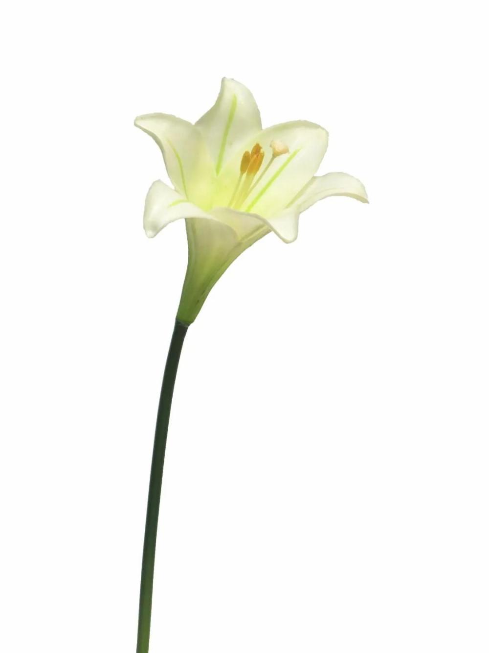 Lilies | Artificial Easter Lily Flower Xingwang, Cream, 18"/45Cm Artificial Flowers Lilies