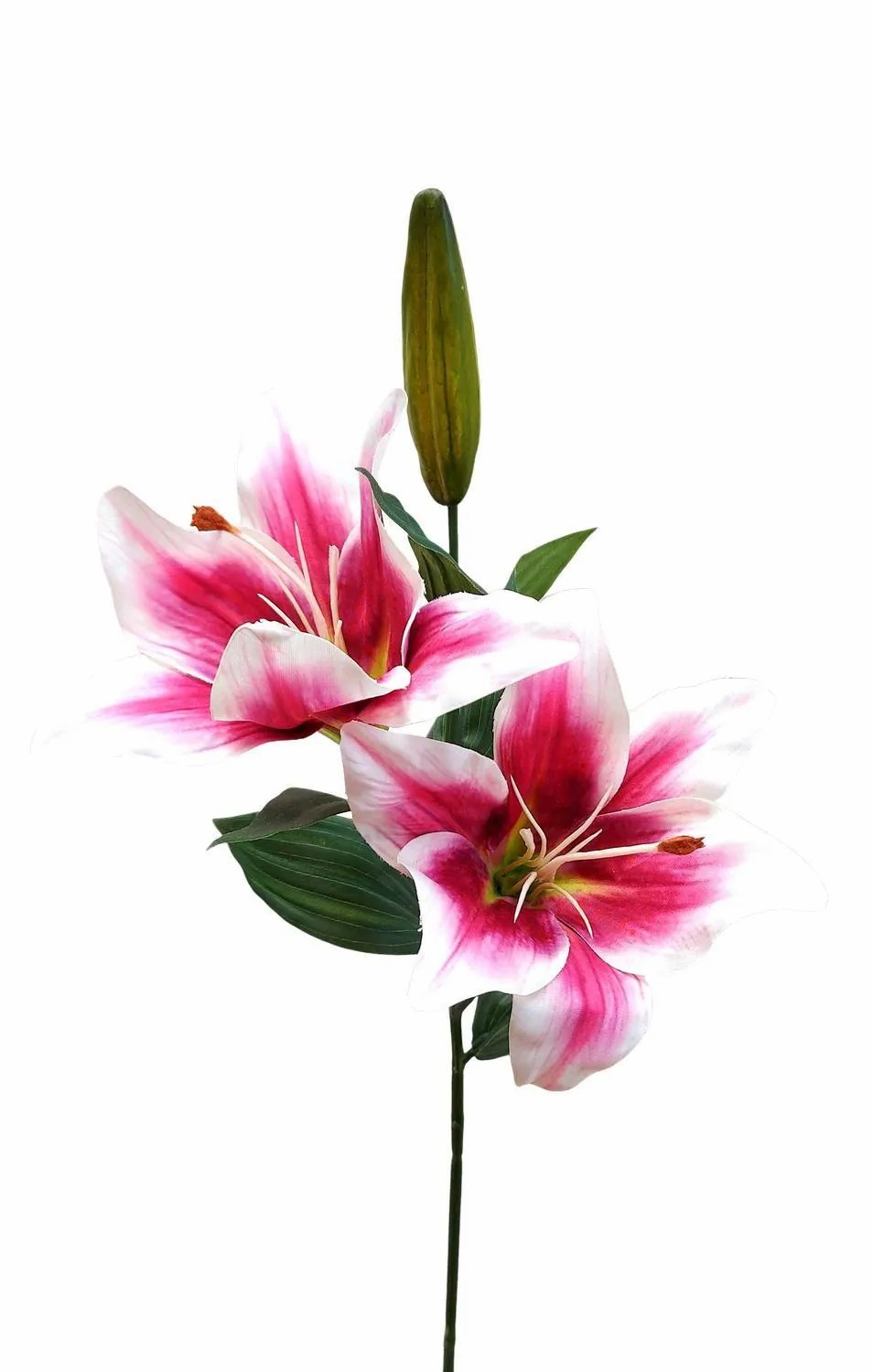 Lilies | Artificial Flower Branch Lily Rodehilde, Fuchsia-White, 26"/65Cm Artificial Flowers Lilies