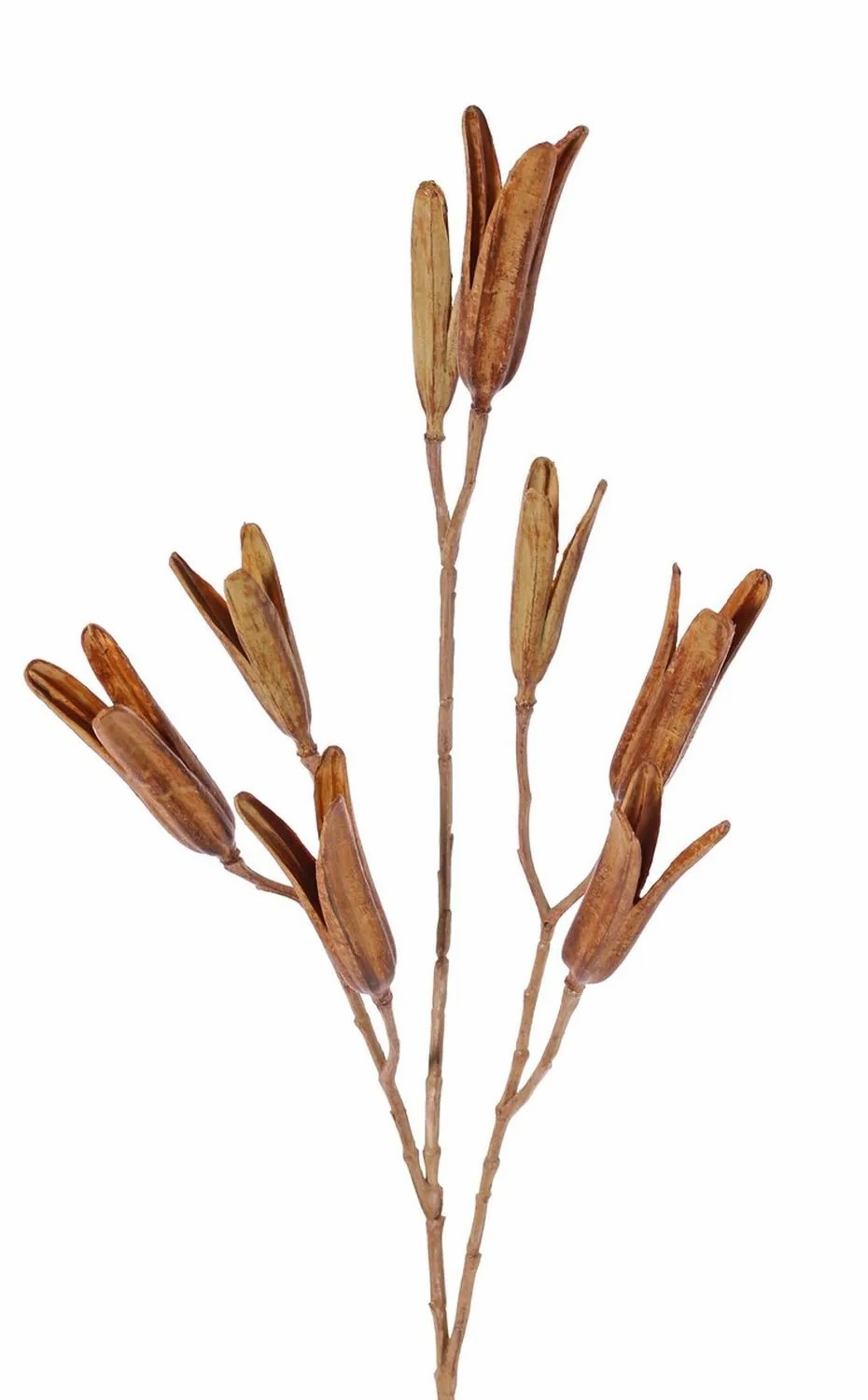 Lilies | Artificial Lily Seed Spray Elfida, Brown, 31"/80Cm Artificial Flowers Brown