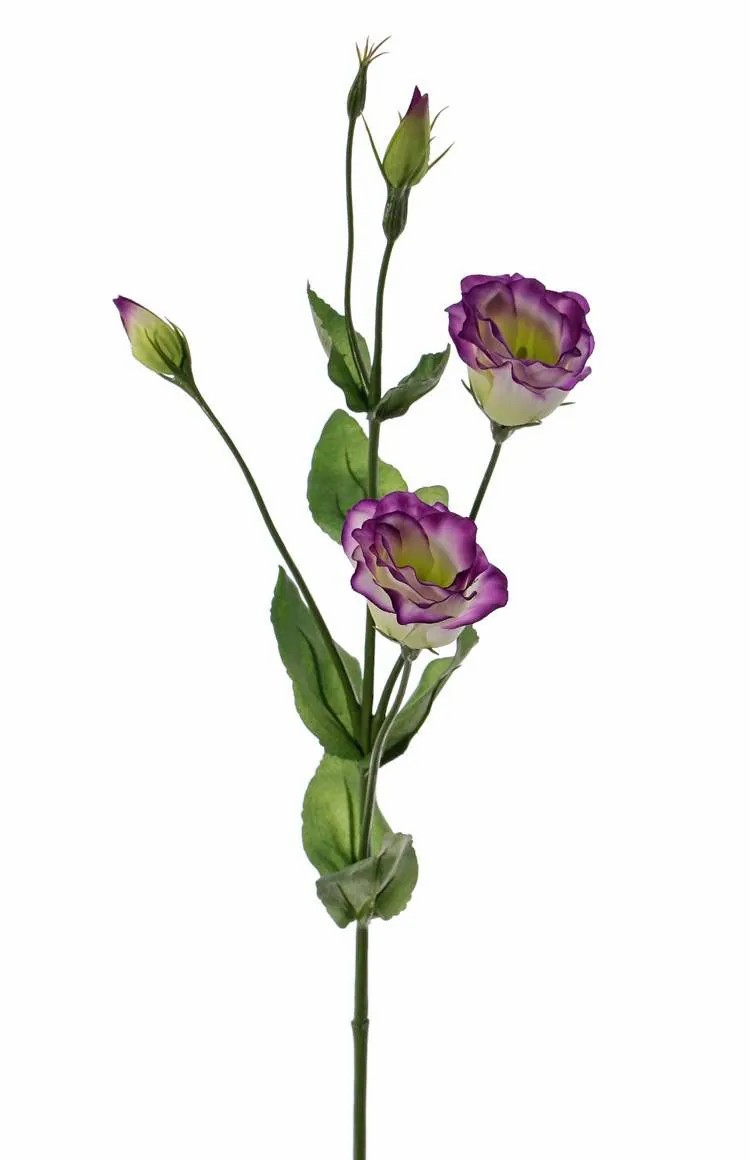 Lisianthus | Artificial Lisianthus Judika, Violet-Green, 28"/70Cm, Ø2"/5Cm Artificial Flowers Lisianthus