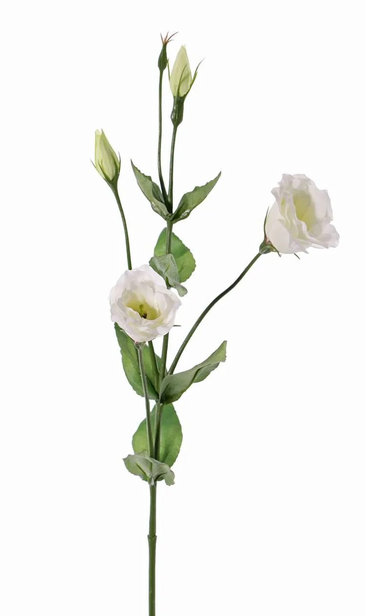 Lisianthus | Artificial Lisianthus Judika, White-Green, 28"/70Cm, Ø2"/5Cm Artificial Flowers Lisianthus