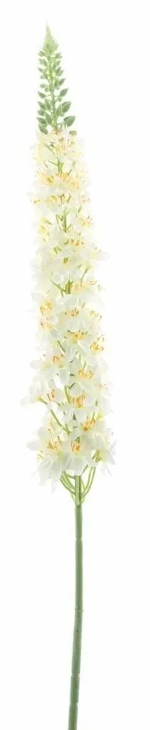 Lupine | Artificial Flower Lupine Kalamata, Cream, 4Ft/110Cm Artificial Flowers Lupine