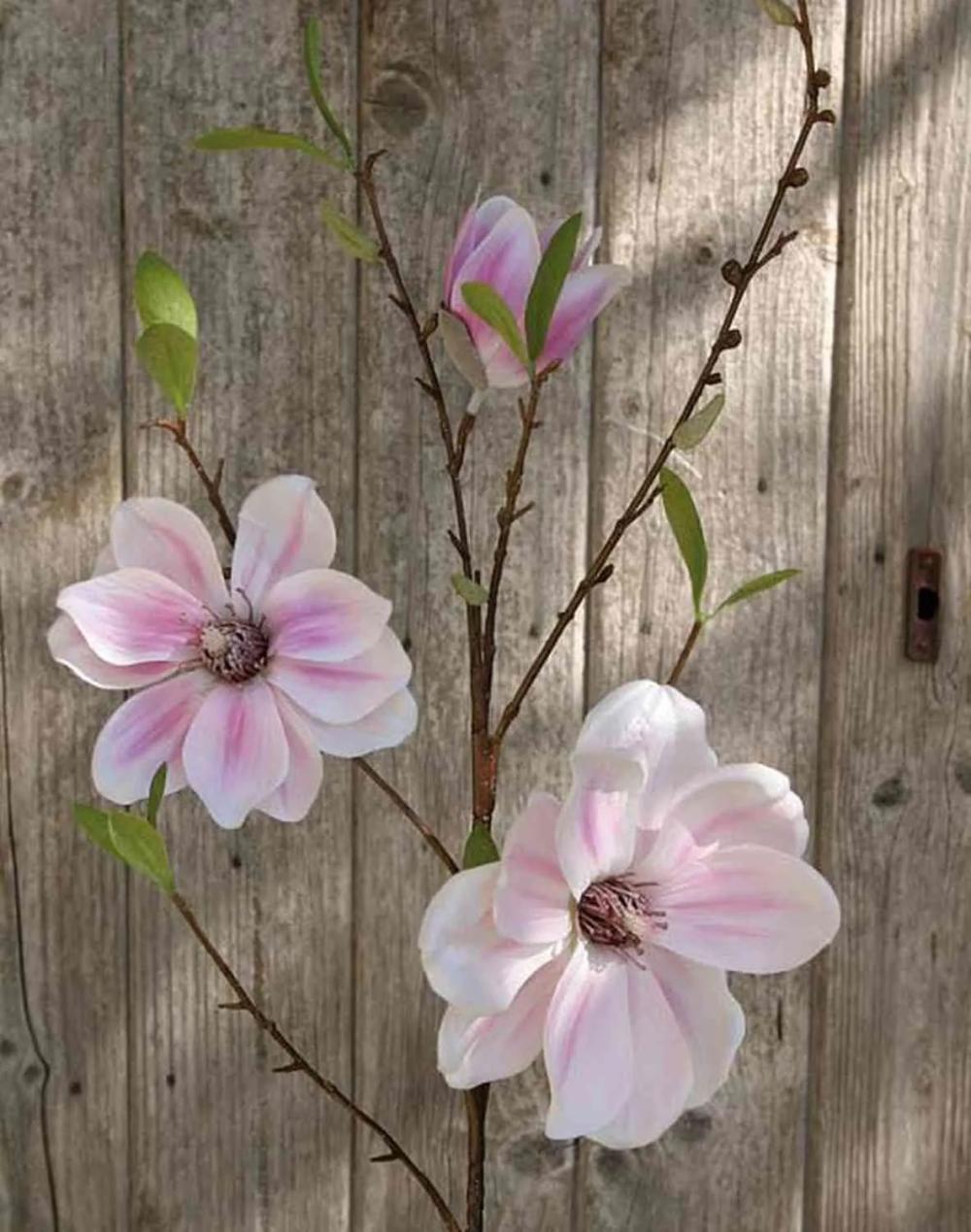 Magnolia | Artificial Magnolia Spray Finah, Light Pink, 3Ft/90Cm, Ø3.5"-5.9"/9-15Cm Artificial Flowers Magnolia