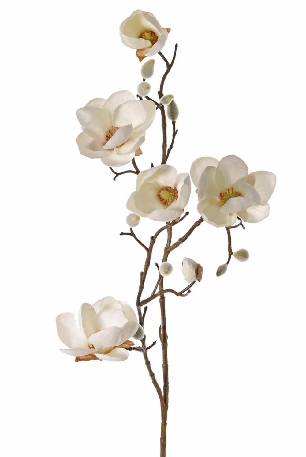 Magnolia | Fake Magnolia Kostas, Cream, 31"/80Cm, Ø2"-3.1"/5-8Cm Artificial Flowers Magnolia