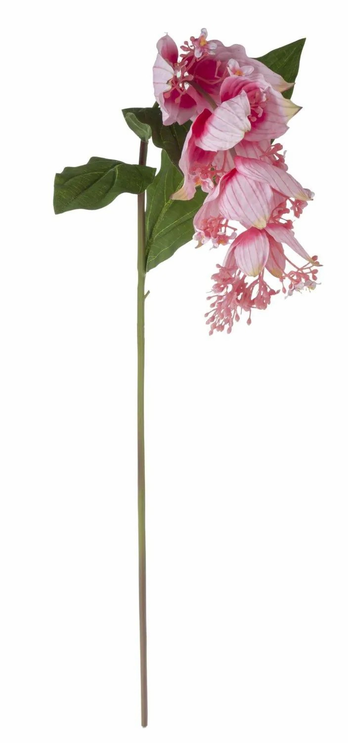 Medinilla | Artificial Flower Branch Medinilla Lasenter, Pink, 4Ft/110Cm Artificial Flowers Medinilla