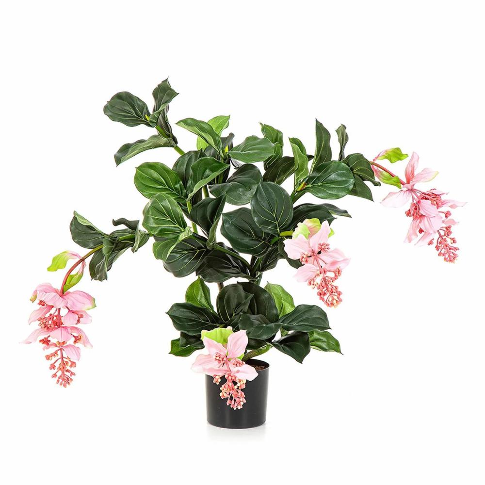 Medinilla | Artificial Medinilla Aldora, Light Pink, 30"/75Cm Artificial Flowers Medinilla