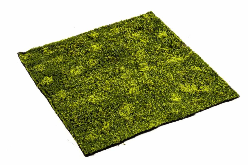 Moss | Artificial Hypnum Moss Mat Fermin, Green, 3Ftx3Ft/100X100Cm Accessories Green