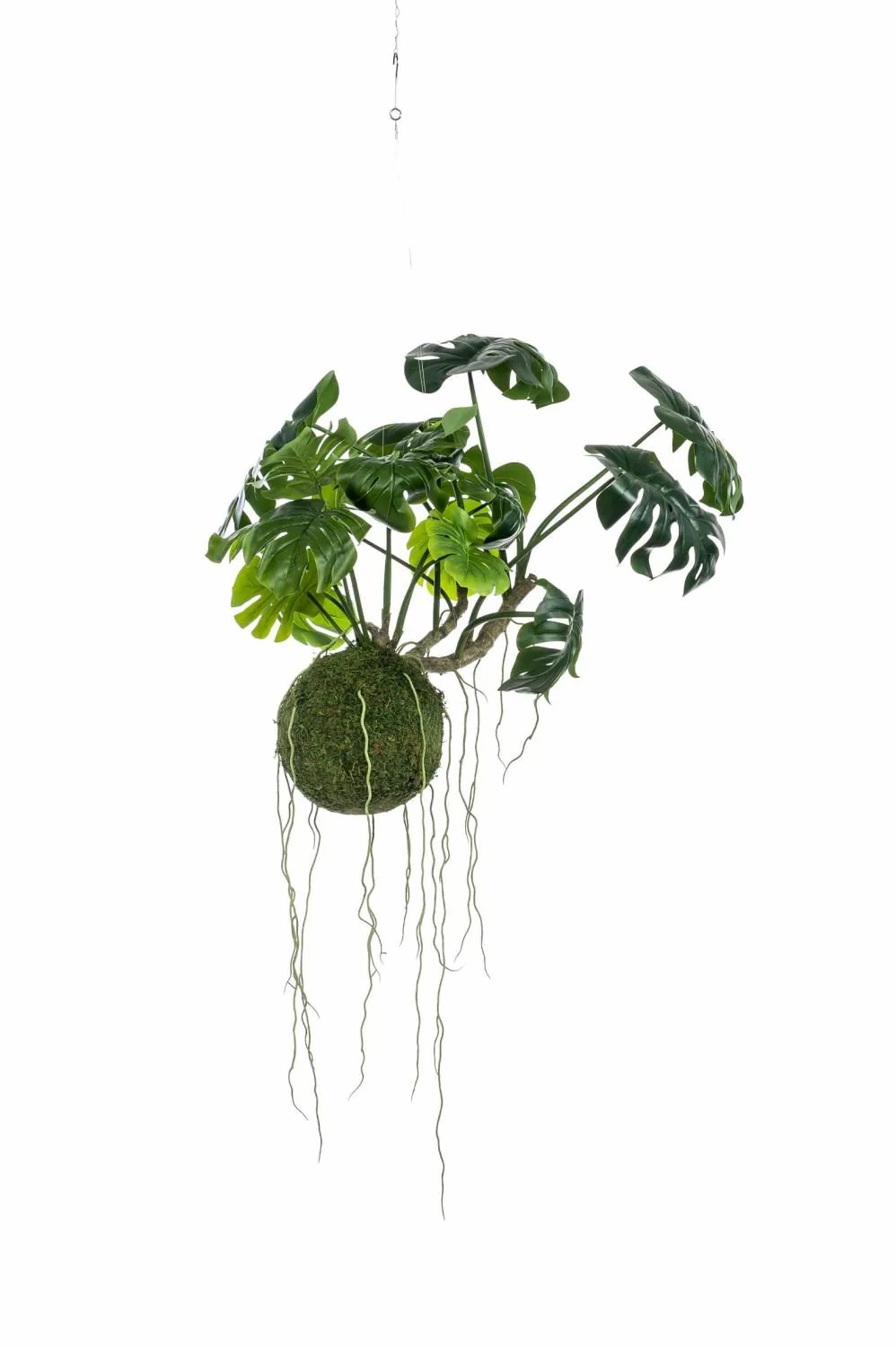 Moss | Decorative Philodendron Monstera Deliciosa Yunus, Moss Ball, 24"/60Cm Accessories Green