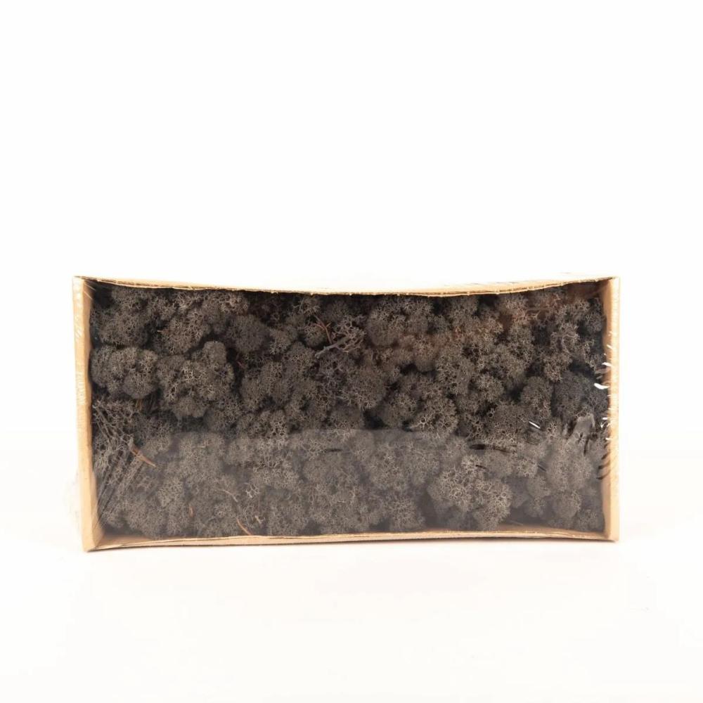 Moss | Genuine Icelandic Moss Sveinbjörn, Anthracite, 500G Accessories Grey