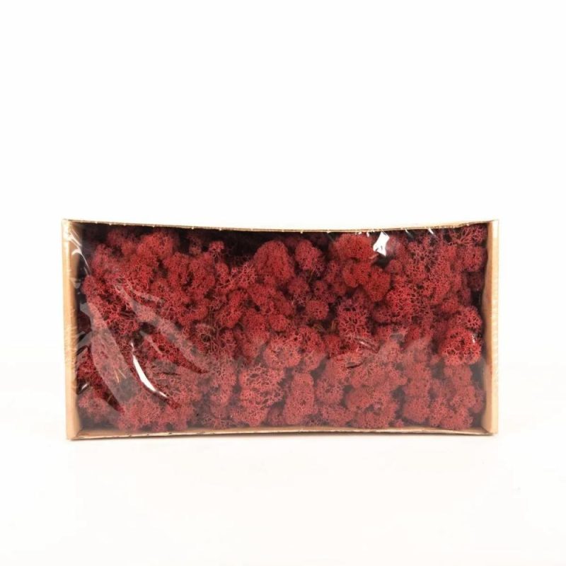 Moss | Genuine Icelandic Moss Sveinbjörn, Burgundy Red, 500G Accessories Moss