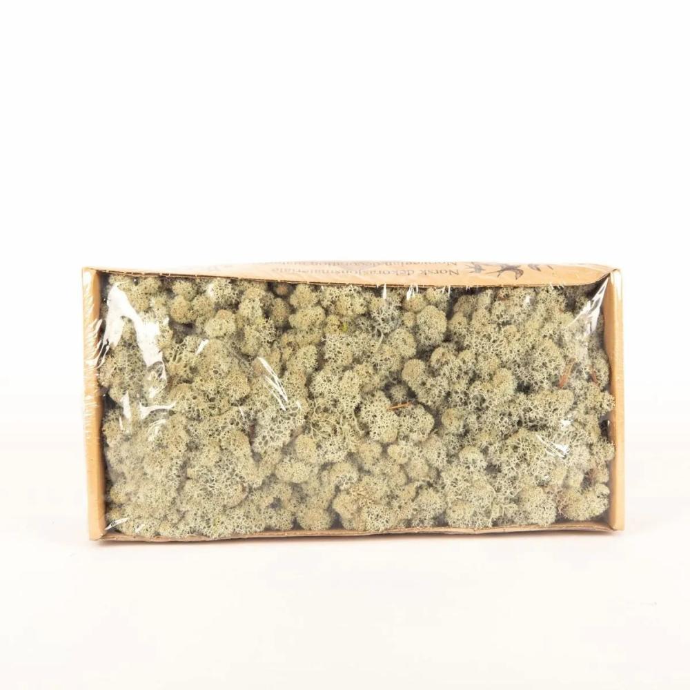 Moss | Genuine Icelandic Moss Sveinbjörn, Grey, 500G Accessories Grey