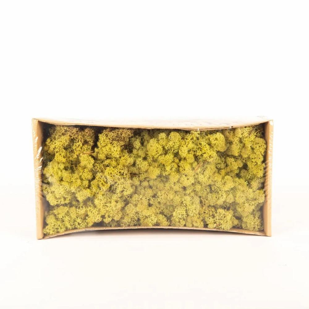 Moss | Genuine Icelandic Moss Sveinbjörn, Hops Green, 500G Accessories Green