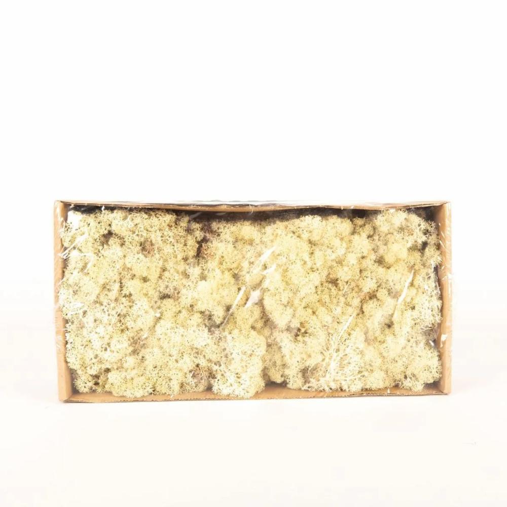 Moss | Genuine Icelandic Moss Sveinbjörn, Ivory, 500G Accessories Moss