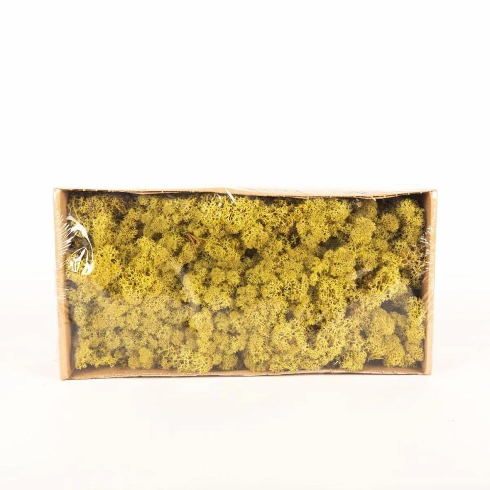 Moss | Genuine Icelandic Moss Sveinbjörn, Kiwi Green, 500G Accessories Green