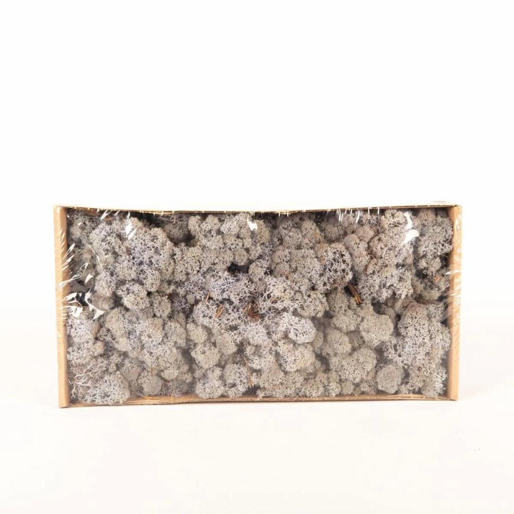 Moss | Genuine Icelandic Moss Sveinbjörn, Lavender, 500G Accessories Moss