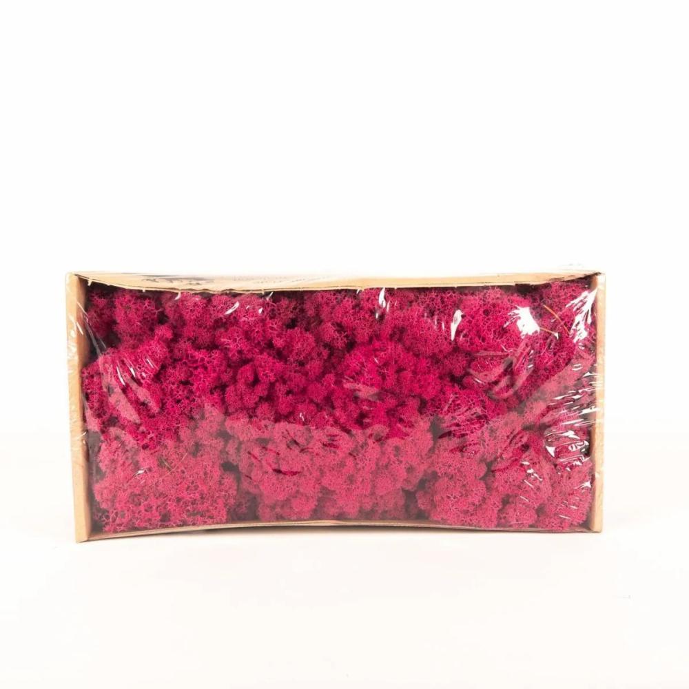 Moss | Genuine Icelandic Moss Sveinbjörn, Magenta, 500G Accessories Moss