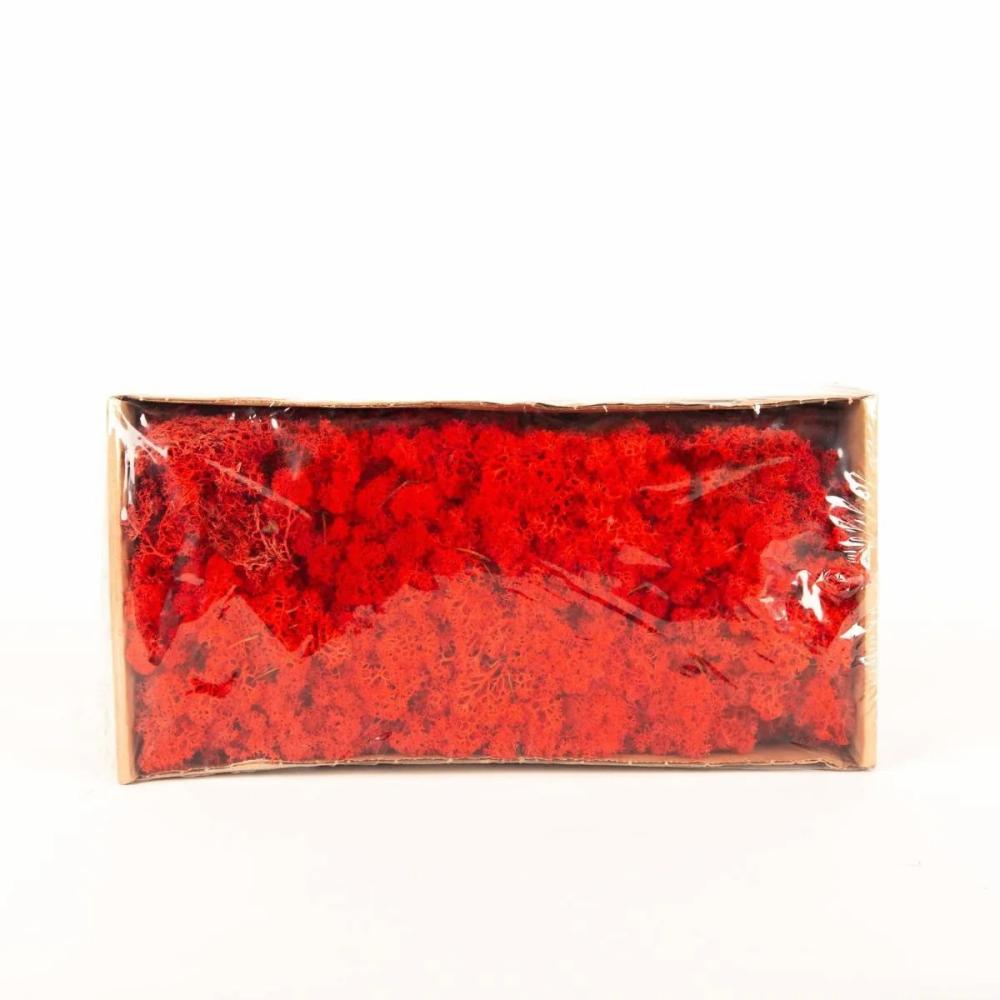 Moss | Genuine Icelandic Moss Sveinbjörn, Red, 500G Accessories Moss