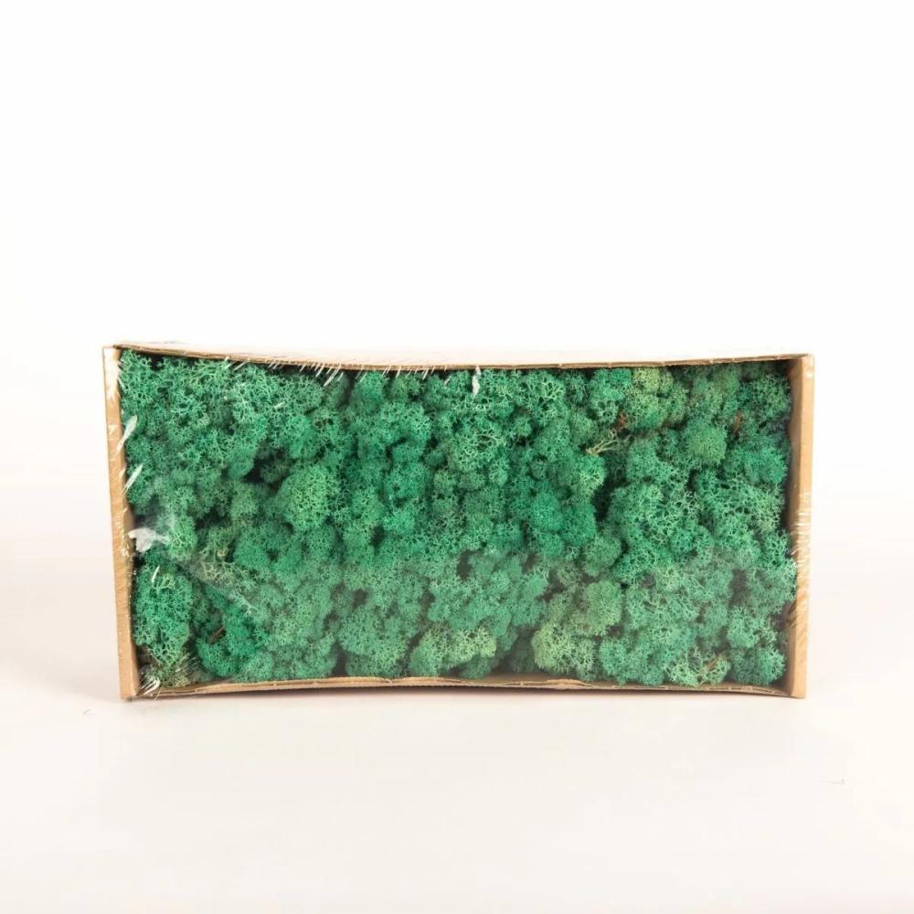 Moss | Genuine Icelandic Moss Sveinbjörn, Turquoise Green, 500G Accessories Green