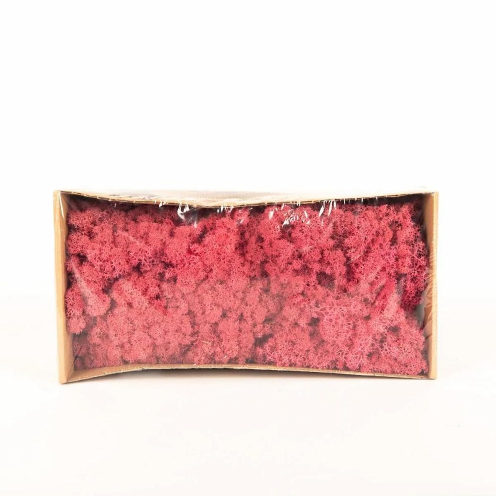 Moss | Genuine Icelandic Moss Sveinbjörn, Watermelon Pink, 500G Accessories Moss