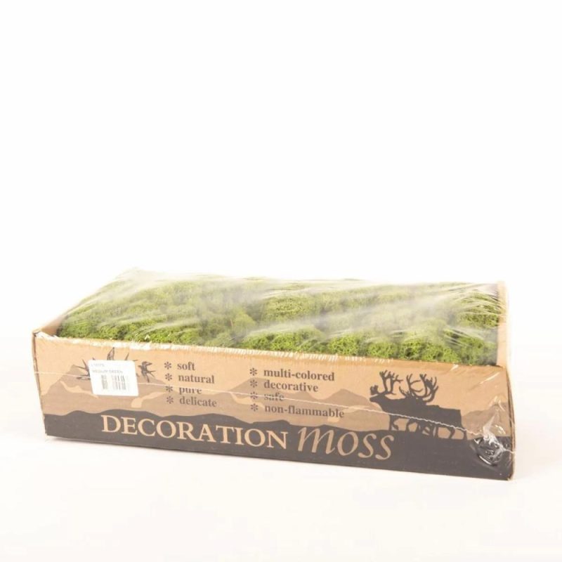 Moss | Real Icelandic Moss Sveinbjörn, Grass-Green, 500G Accessories Green