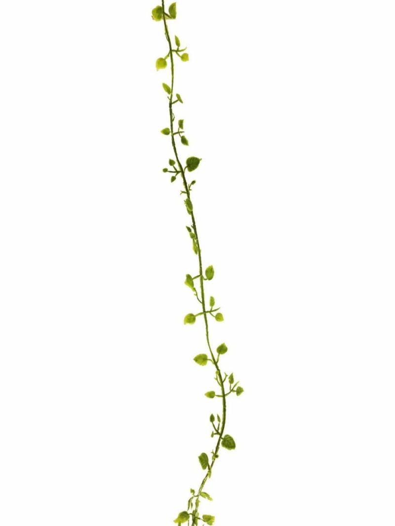 Muehlenbeckia | Artificial Muehlenbeckia Garland Jiamin, Green, 8Ft/240Cm Artificial Plants Green